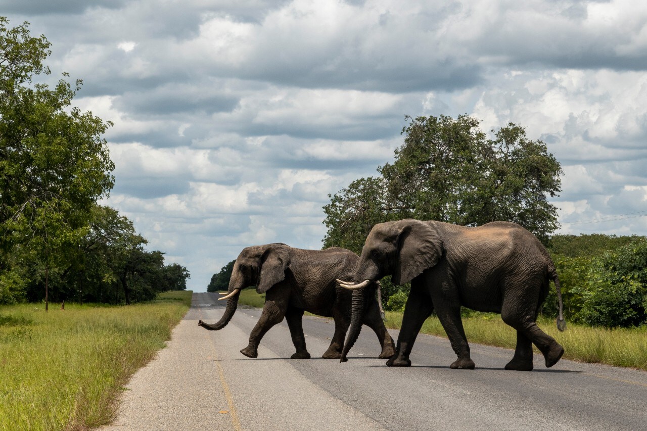 Turismo: Transafrica